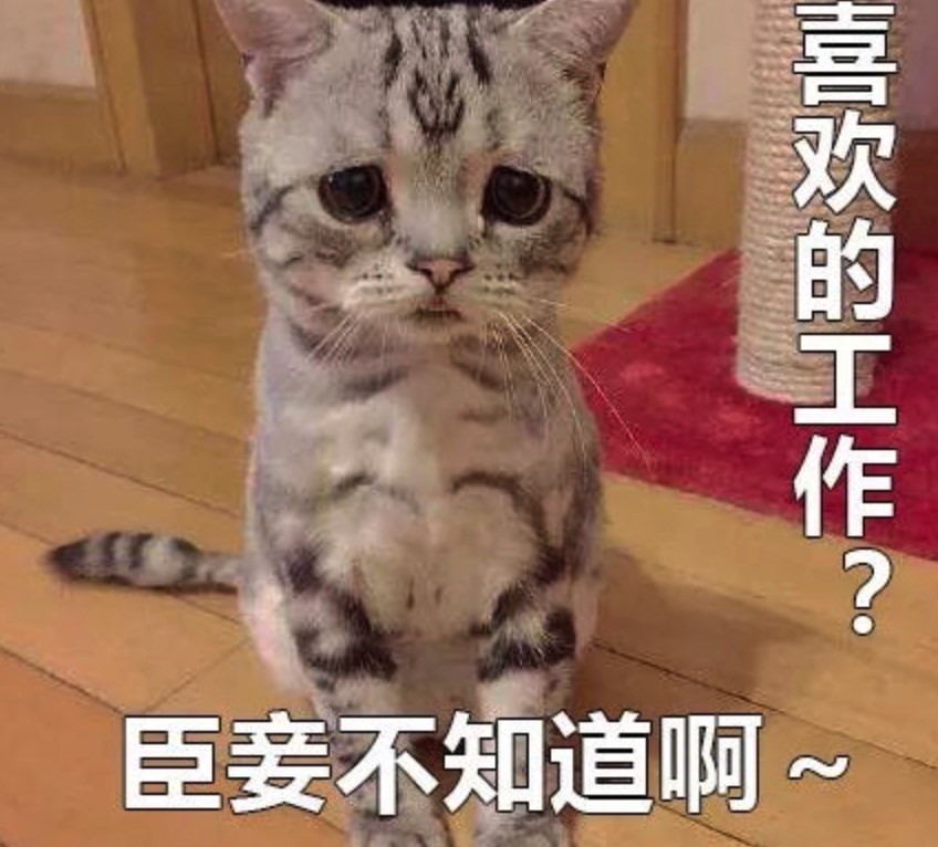 broken image